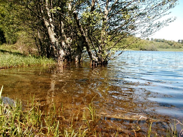 Laghi....del LAZIO